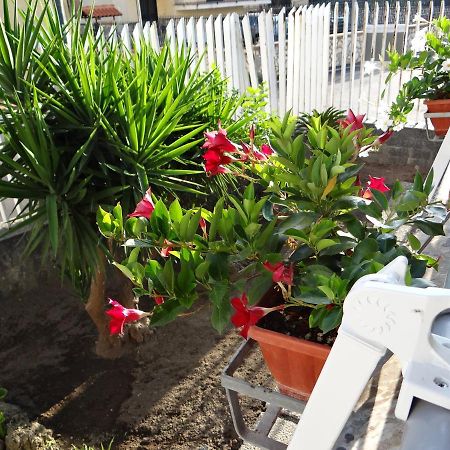White Lady B&B Pompei Luaran gambar