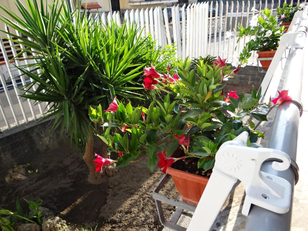 White Lady B&B Pompei Luaran gambar
